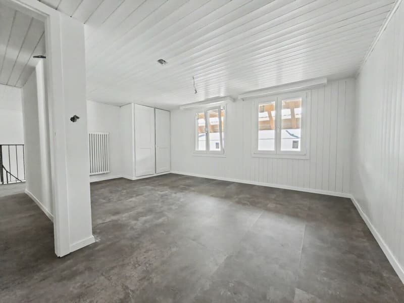 Erstvermietung einer sanierten 4.5-Zimmer-Duplexwohnung (7)