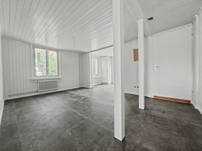 Top sanierte 2.5-Zimmer-Wohnung (3)