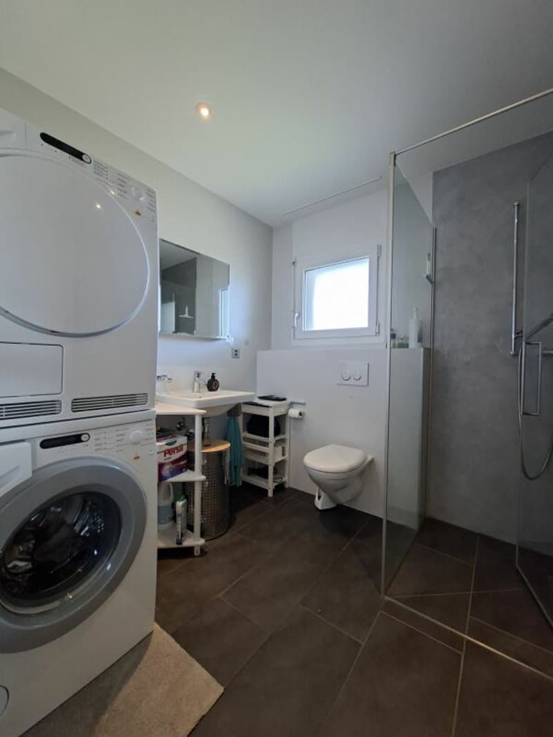 Einzigartige 5.5-Zimmer-Attika-Wohnung mit Blick ins Grüne (7)