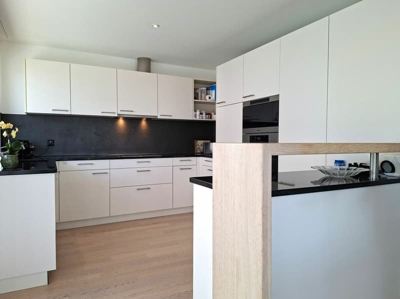 Einzigartige 5.5-Zimmer-Attika-Wohnung mit Blick ins Grüne (3)