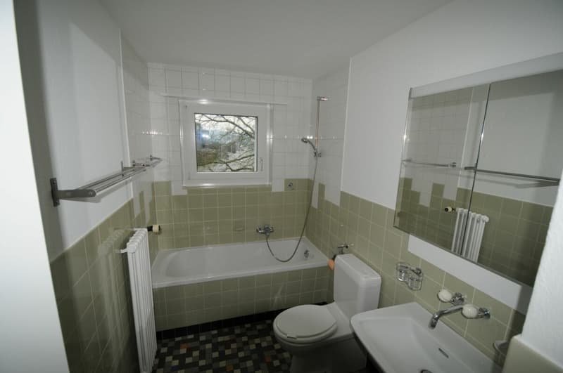 Natürlich wohnen mit Stil - 3.5-Zimmerwohnung in Birmenstorf AG (9)