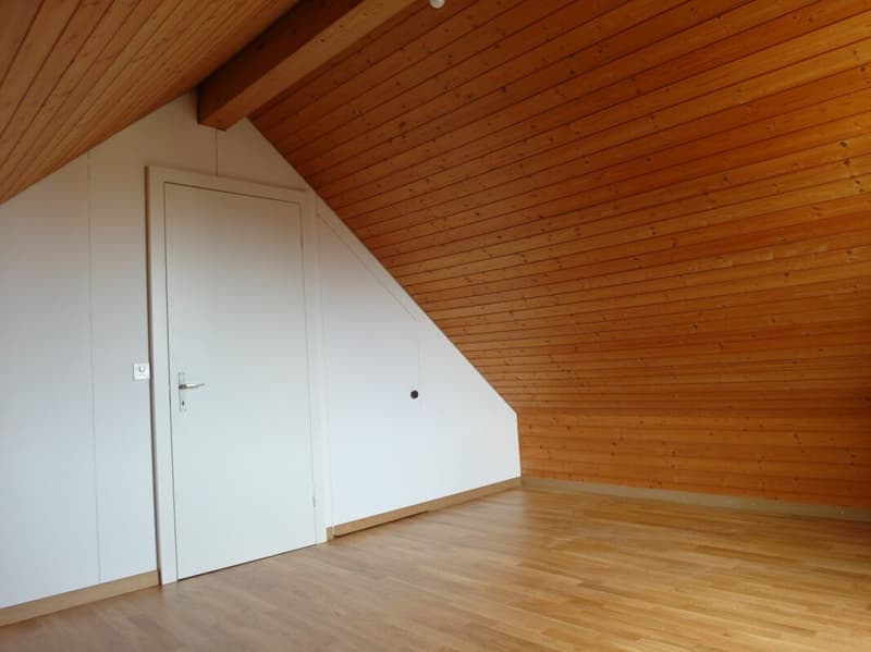 4.5-Zimmer Attika-Liebe mit Cheminée & Weitblick (9)
