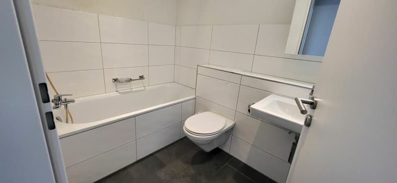 Modern wohnen in 4.5 Zimmern mit Pfiff - ein Zuhause zum Verlieben (8)