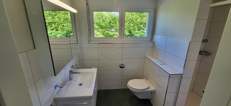 Modern wohnen in 4.5 Zimmern mit Pfiff - ein Zuhause zum Verlieben (9)