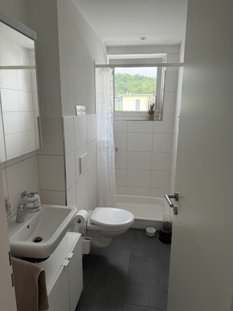 Hier wohnt das Wow - 4.5-Zimmer-Attika in Hausen - Wohnen über den Dächern mit Stil (6)