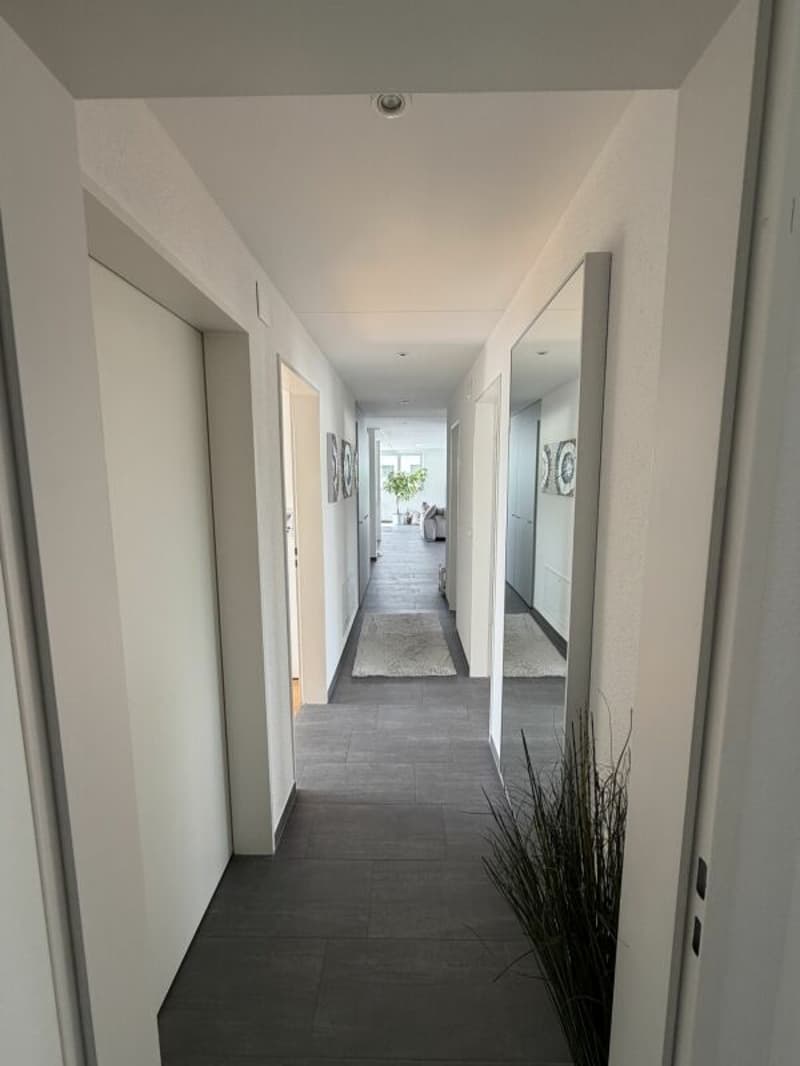 Hier wohnt das Wow - 4.5-Zimmer-Attika in Hausen - Wohnen über den Dächern mit Stil (11)