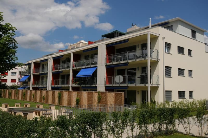Hier wohnt das Wow - 4.5-Zimmer-Attika in Hausen - Wohnen über den Dächern mit Stil (16)