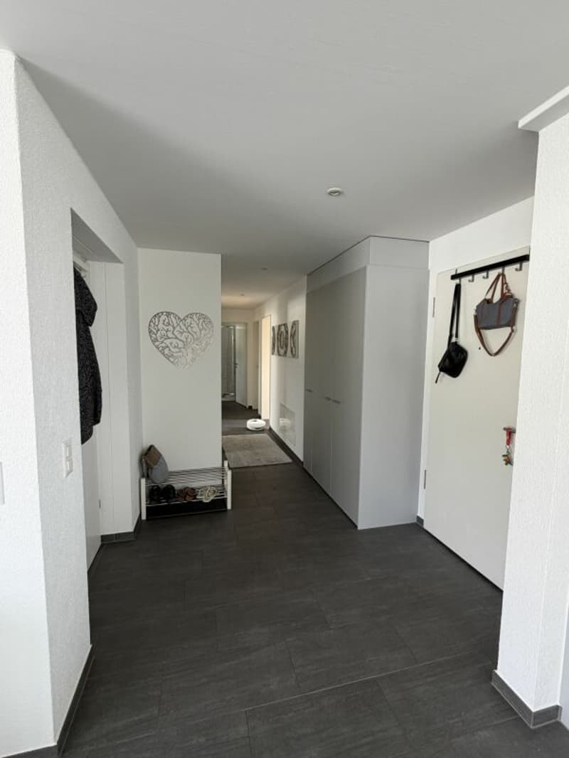 Hier wohnt das Wow - 4.5-Zimmer-Attika in Hausen - Wohnen über den Dächern mit Stil (10)