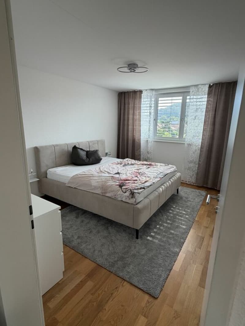Hier wohnt das Wow - 4.5-Zimmer-Attika in Hausen - Wohnen über den Dächern mit Stil (7)