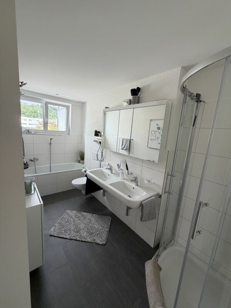 Hier wohnt das Wow - 4.5-Zimmer-Attika in Hausen - Wohnen über den Dächern mit Stil (5)