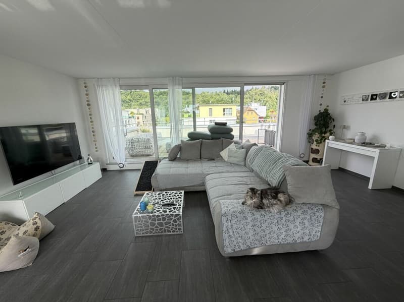 Hier wohnt das Wow - 4.5-Zimmer-Attika in Hausen - Wohnen über den Dächern mit Stil (1)