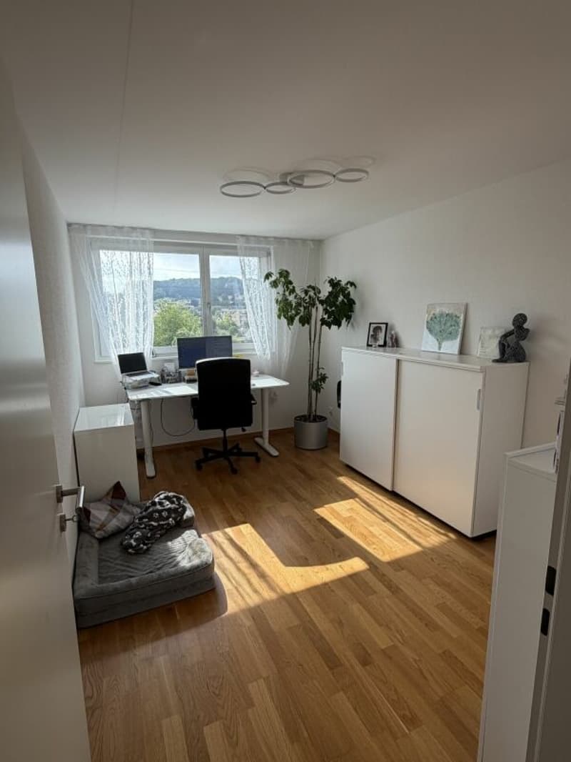 Hier wohnt das Wow - 4.5-Zimmer-Attika in Hausen - Wohnen über den Dächern mit Stil (8)