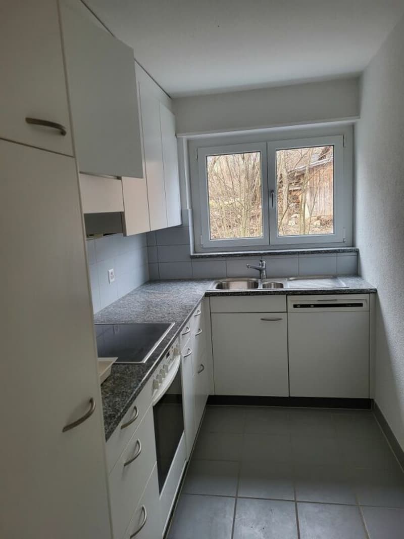 Ein kleiner Traum in 2-Zimmern sucht neuen Mieter in Untersiggenthal (2)