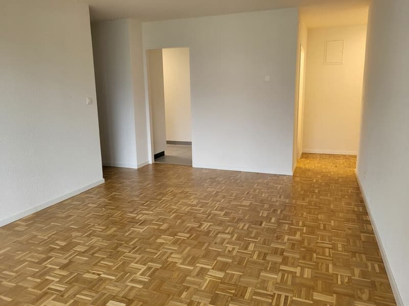 Ein kleiner Traum in 2-Zimmern sucht neuen Mieter in Untersiggenthal (5)
