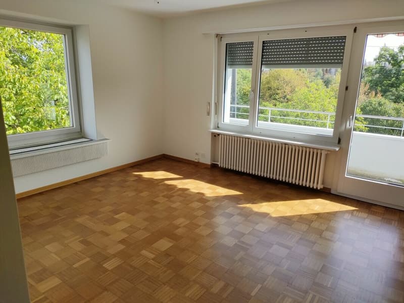 Gemütliche 3.5-Zimmer-Wohnung in Birmenstorf sucht neuen Mieter (6)