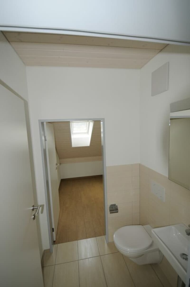 Wunderschöne 2.5 Zimmer-Attikawohnung- Ihr neues Zuhause! (8)