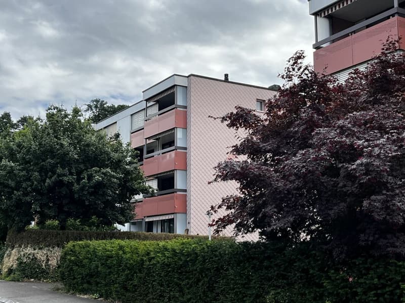4.5 Zimmer-Wohnung , mit sonnigem Balkon die auf neues Leben warten. (1)