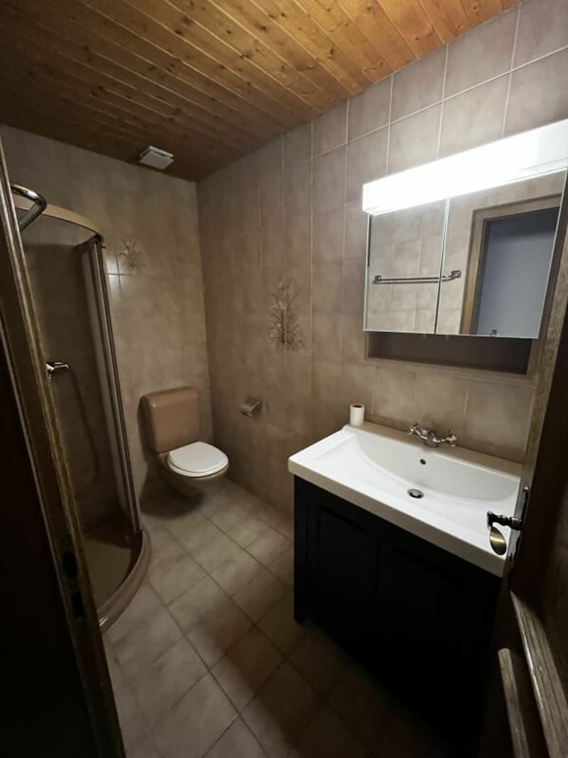 Ein Platz zum Bleiben: 4.5-Zimmer Wohnung mit Herz und Charme (5)