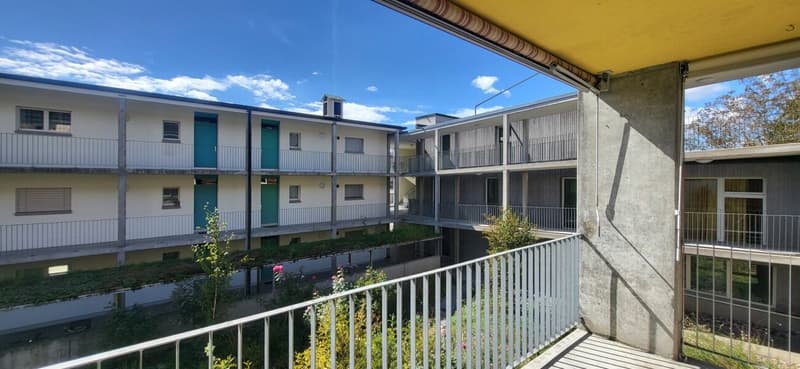 Schöne 3-Zimmerwohnung sucht neuen Bewohner mit Flair fürs Grüne! (13)