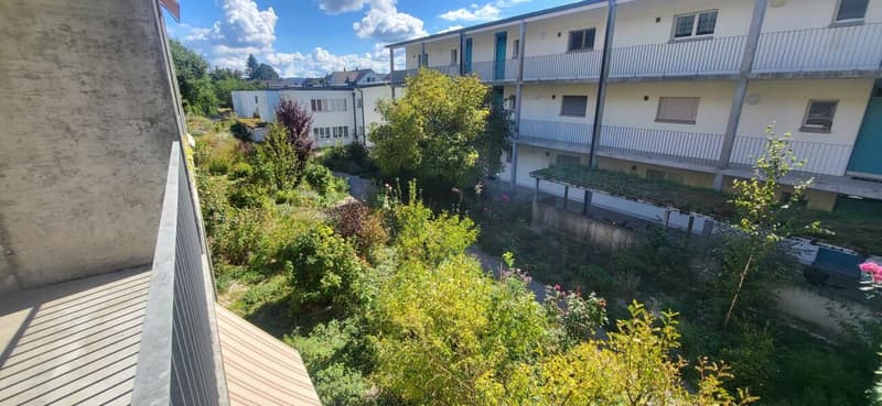 Schöne 3-Zimmerwohnung sucht neuen Bewohner mit Flair fürs Grüne! (14)