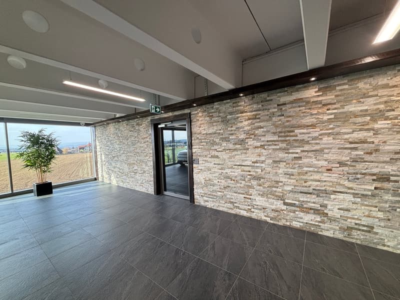 large room, stone wall, large windows, black floor, plant