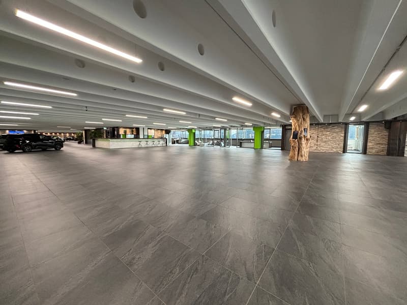 spacious parking area, gray tiled floor, white ceiling, green pillars, parked car, plants, reception desk, windows
