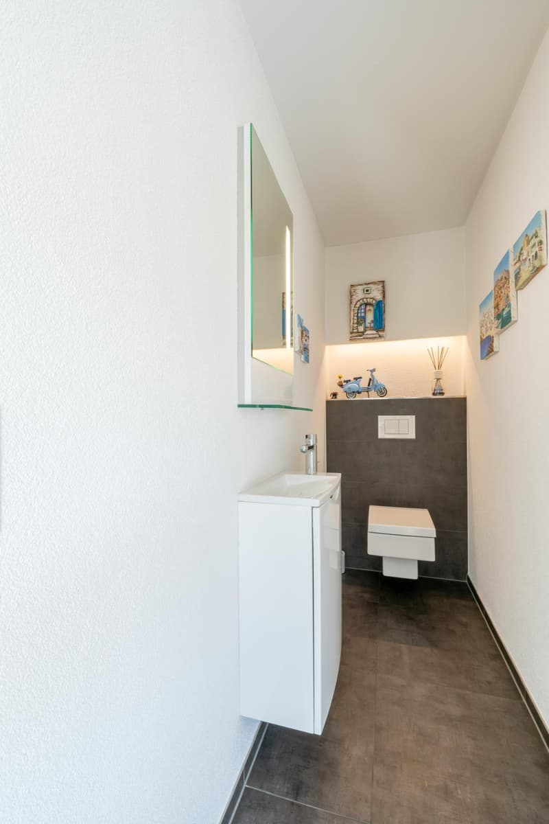 Modern & Aussergewöhnlich mit 290m2 Nutzfläche, gepflegte Gartenanlage mit Chromstahlpool (17)