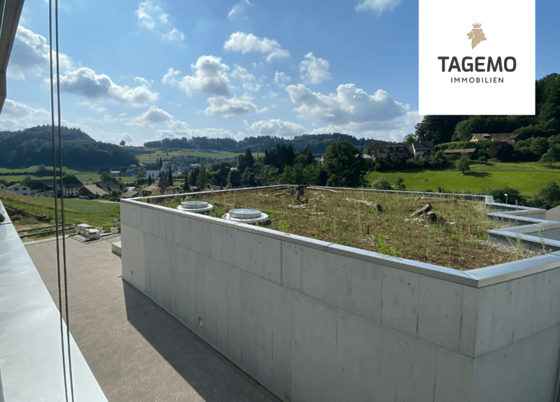 Duplex-Wohntraum mit 300m2 - NEUBAU (10)