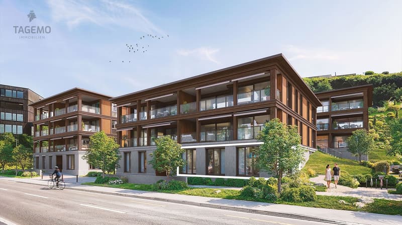 Gewerbe GB2 Aussenansicht Luzernerstrasse