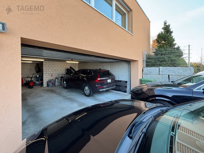 Modern & Aussergewöhnlich mit 290m2 Nutzfläche, gepflegte Gartenanlage mit Chromstahlpool (7)