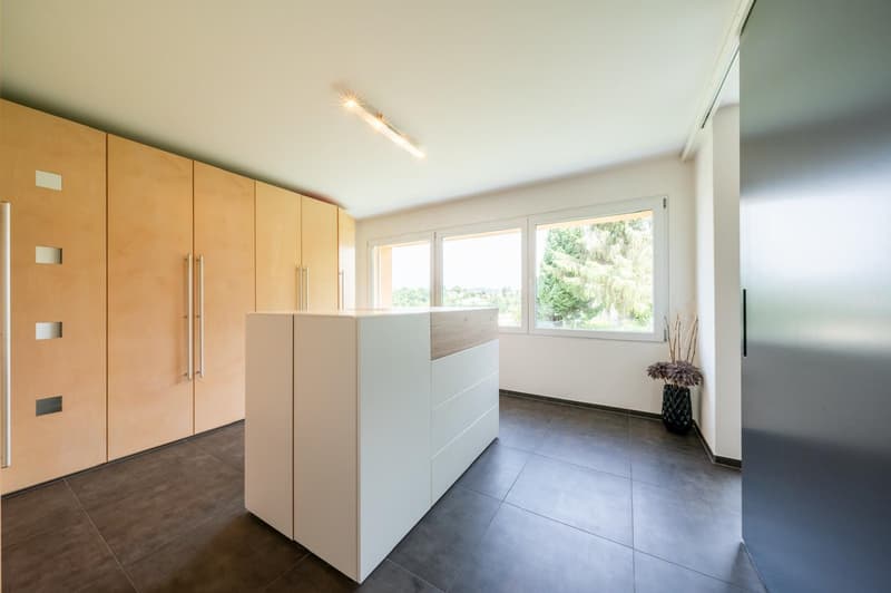Modern & Aussergewöhnlich mit 290m2 Nutzfläche, gepflegte Gartenanlage mit Chromstahlpool (15)