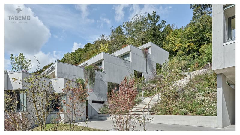 6.5 Zi.-Duplexwohnung – Sichtbeton-Meisterwerk (2)
