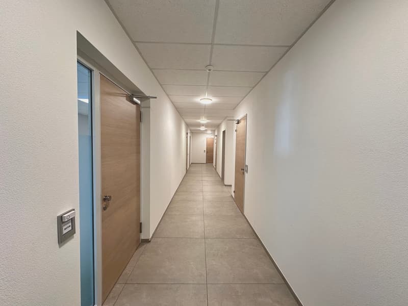 Exklusive Bürofläche im Gewerbepark Pfaffnau – 504 m² (2)