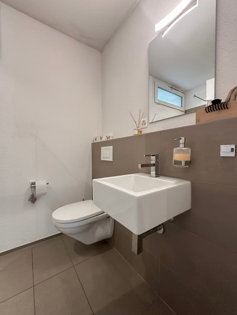 Grosszügiges 6.5-Zimmer-Einfamilienhaus mit Panorama-Terrasse in Strengelbach (16)