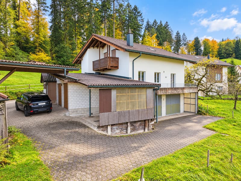 6.5 Zimmer Einfamilienhaus mit grossem Potenzial für Handwerker und Hobbybegeisterte (1)