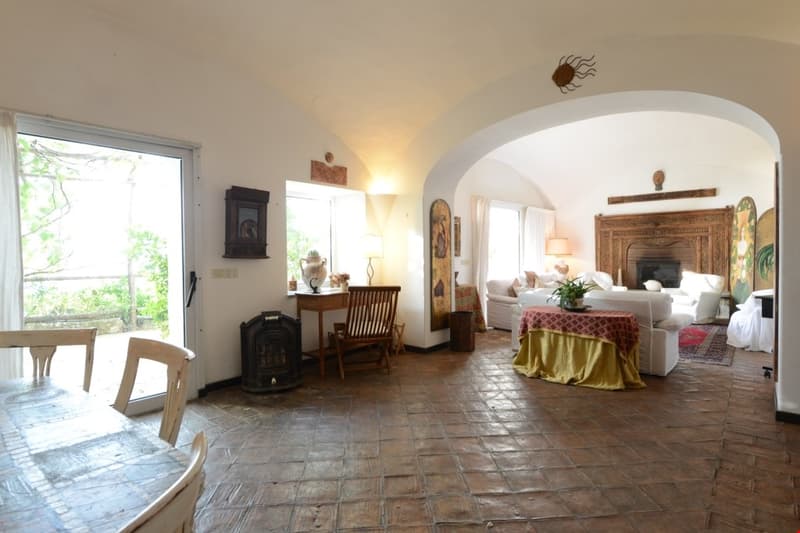 Spacious living room with arched doorways, hardwood floors, antique furniture, fireplace, and large windows overlooking the outdoors