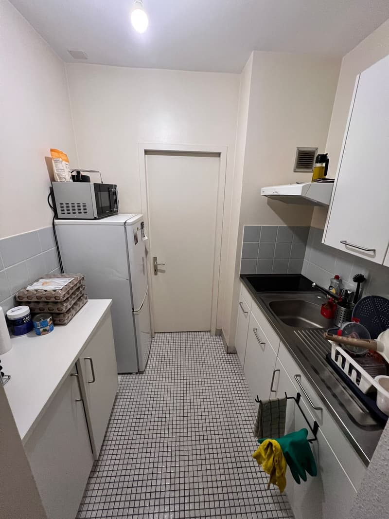 Charmant appartement de 2 pièces avec balcon à Genève (6)