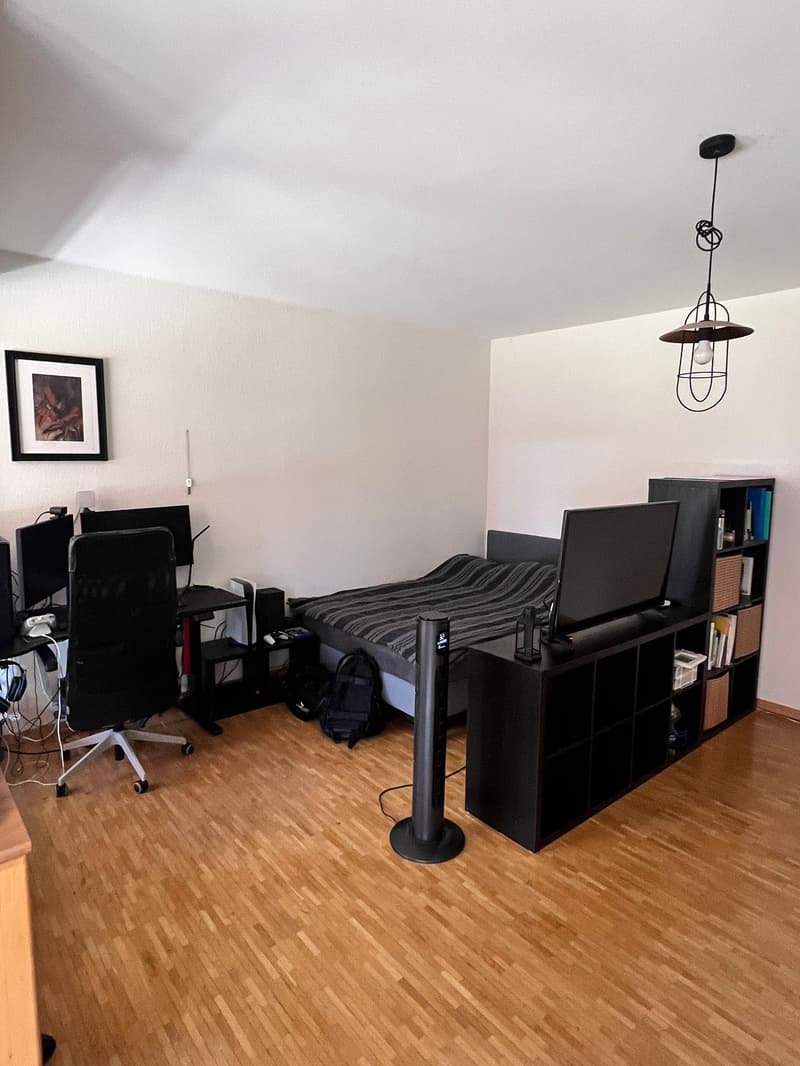 Charmant appartement de 2 pièces avec balcon à Genève (8)