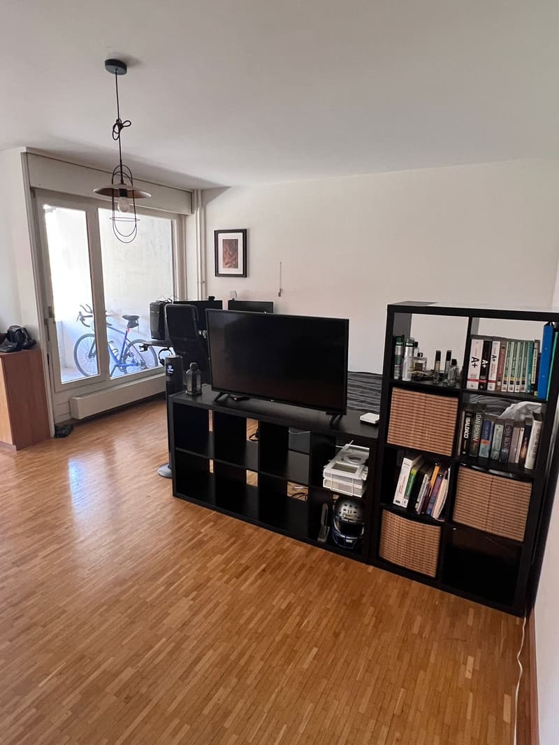 Charmant appartement de 2 pièces avec balcon à Genève (7)