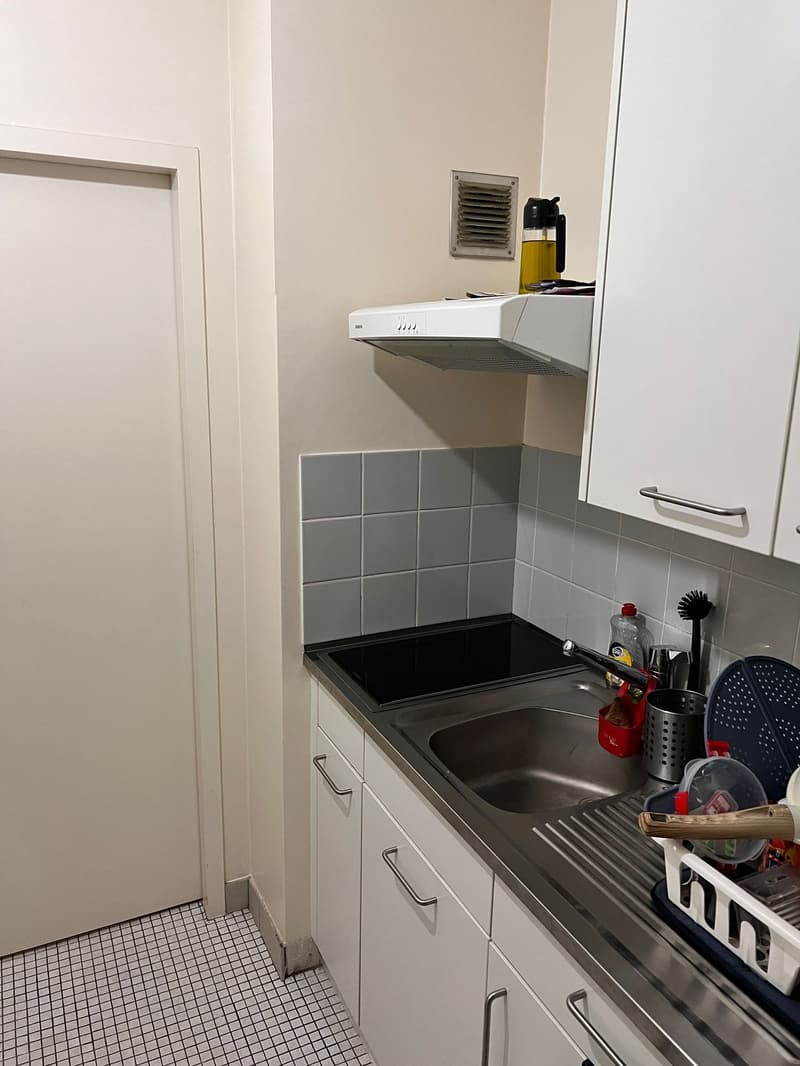 Charmant appartement de 2 pièces avec balcon à Genève (5)