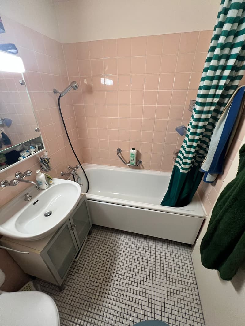 Charmant appartement de 2 pièces avec balcon à Genève (4)