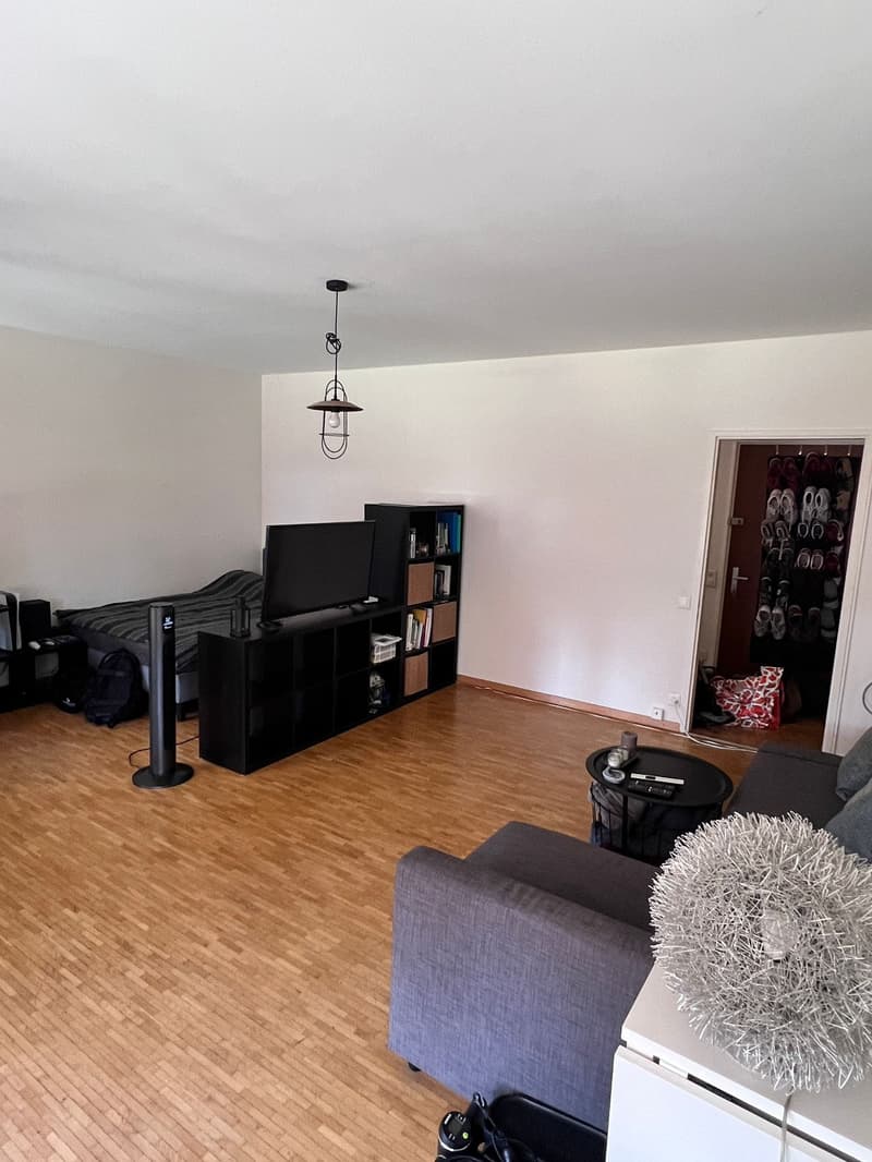 Charmant appartement de 2 pièces avec balcon à Genève (3)