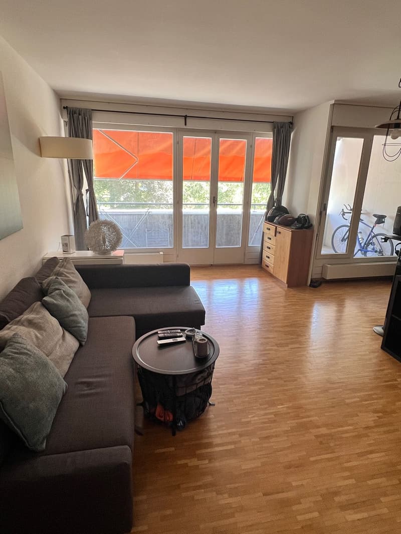 Charmant appartement de 2 pièces avec balcon à Genève (2)