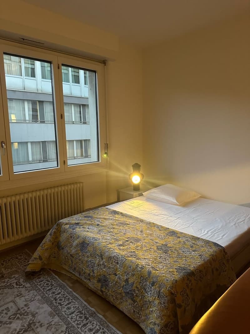Sous-location appart 3p proche gare, ong et lac (4)