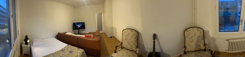 Sous-location appart 3p proche gare, ong et lac (2)