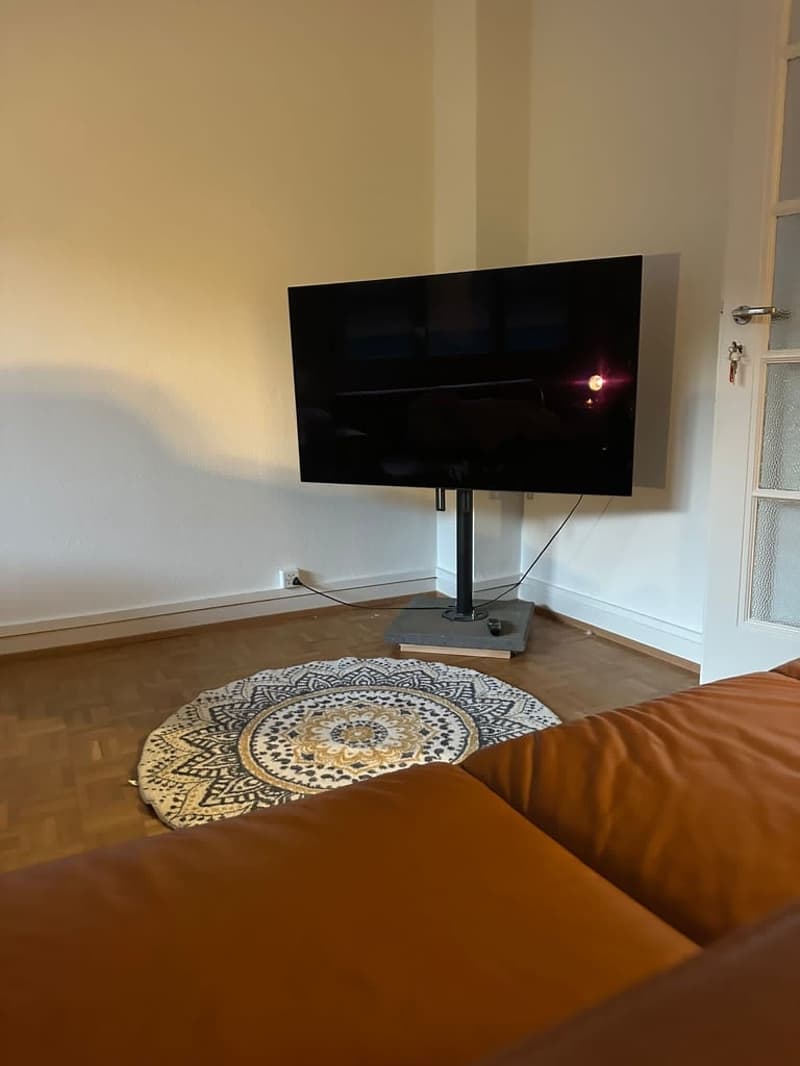 Sous-location appart 3p proche gare, ong et lac (5)