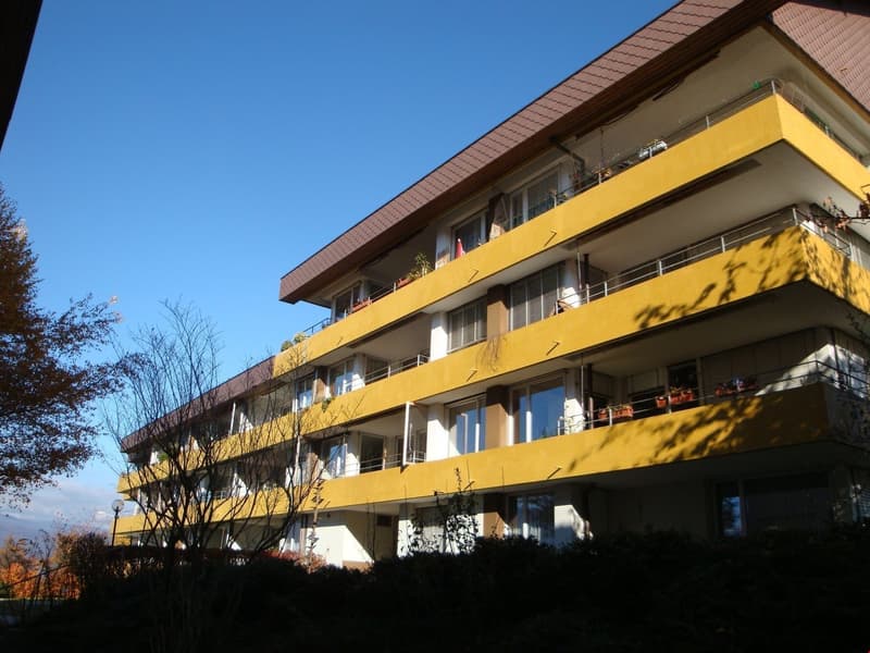 Multi-story building, yellow exterior, multiple balconies, brown roof, glass windows