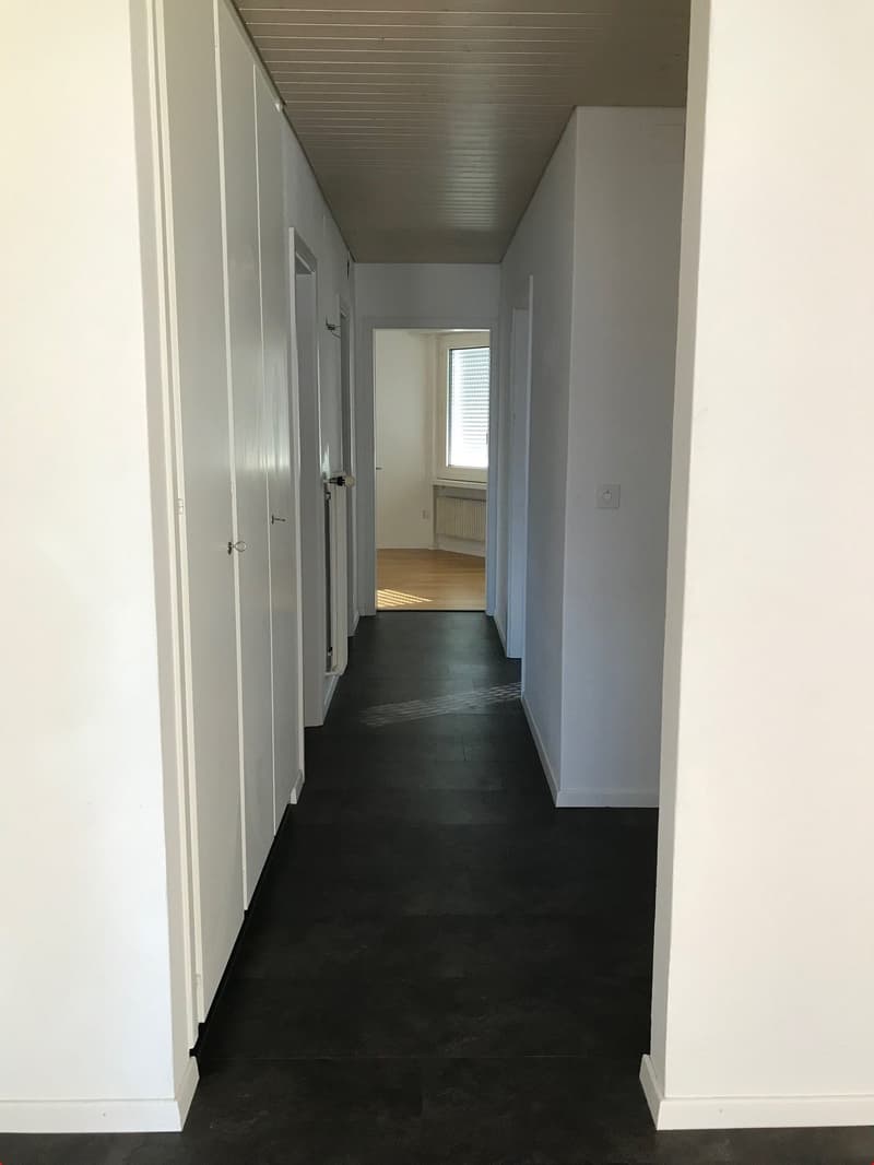 Empty hallway with white walls, black floor, doors on both sides, window at the end