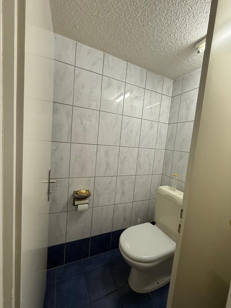 Büro-/Praxisraum im Herzen von Belp (5)