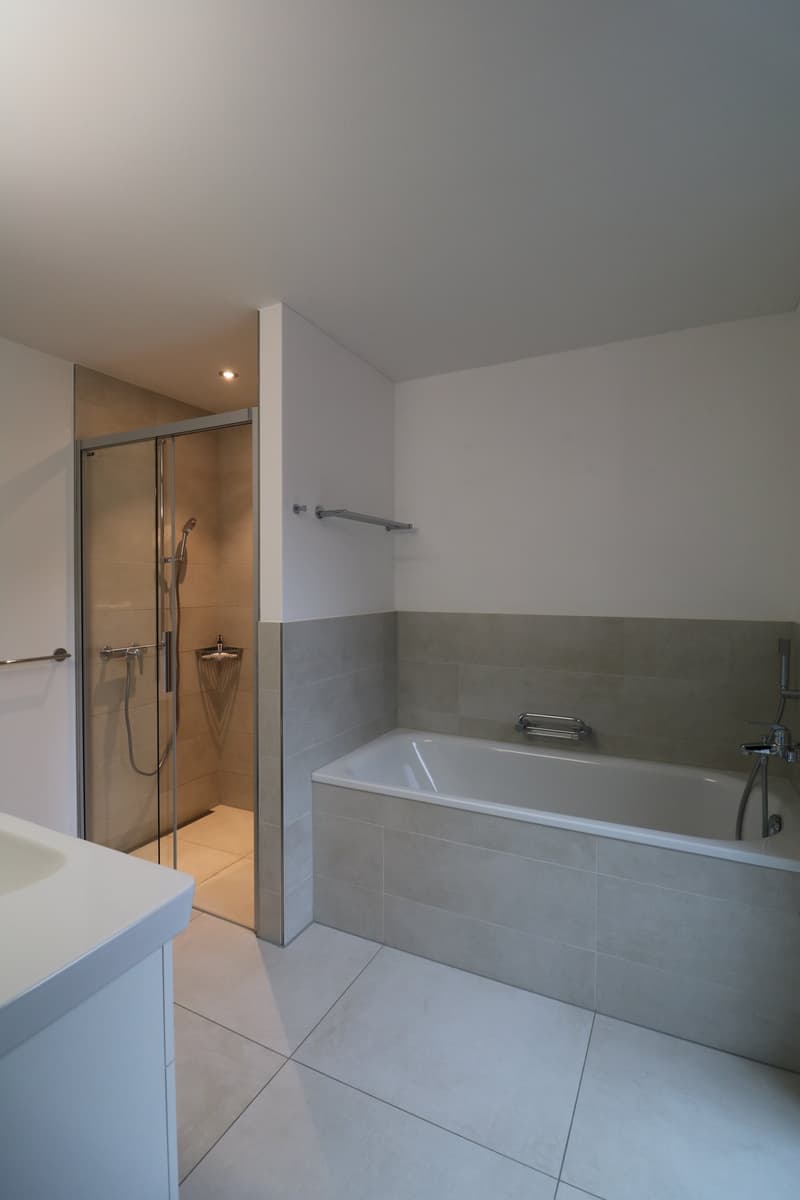 Lichtdurchflutete  3 ½ Zimmerwohnung mit grossem Balkon und traumhafter Seesicht (7)